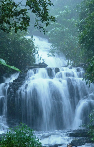 Keralan Waterfalls